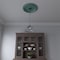 Ekena Millwork Traditional PVC Medallion (Canopies up to 13 1/2"), 22"OD x 3 1/2"ID x 1 1/2"P, Metallic Sea Mist CMP22TRFSM - alternate 8